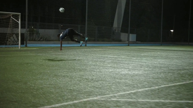 Video Reference: sports, sport venue, player, grass, ball game, atmosphere, competition event, net, plant, flooring