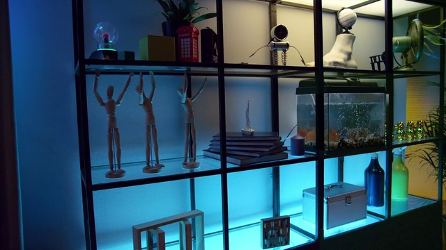 Video Reference: Shelf, Display case, Glass, Transparent material, Furniture, Shelving, Room, Architecture, Table, Aquarium