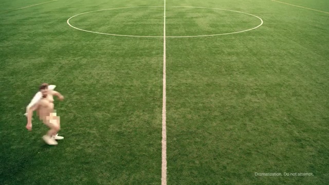 Video Reference: plant, grass, football, lawn, sport venue, player, ball, ball, artificial turf, net