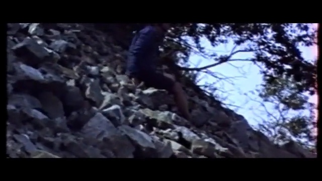 Video Reference: Nature, Rock, Tree, Wilderness, Geological phenomenon, Mountaineering, Branch, Geology, Organism, Woody plant