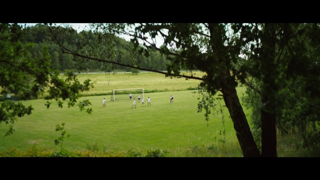 Video Reference: Nature, Grassland, Green, Pasture, Natural environment, Sport venue, Tree, Land lot, Lawn, Grass