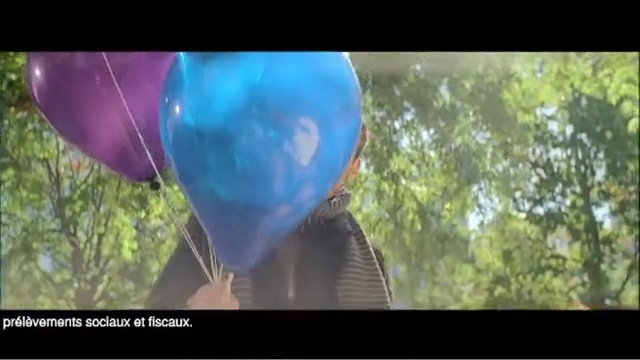 Video Reference: blue, balloon, ecosystem, vertebrate, mode of transport, hot air balloon, fun, tree, grass, biome, Person