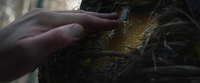 Video Reference: Hair, Water, Hand, Finger, Wood
