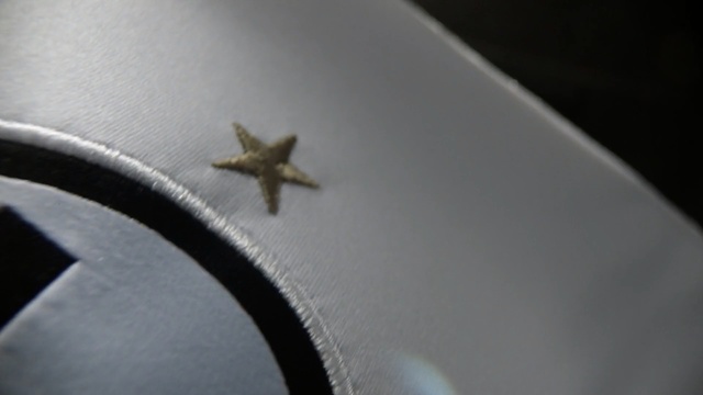 Video Reference: Starfish, Invertebrate, Macro photography, Echinoderm