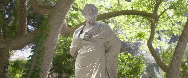 Video Reference: tree, statue, green, plant, monument, grass, sculpture, garden, woodland, sunlight