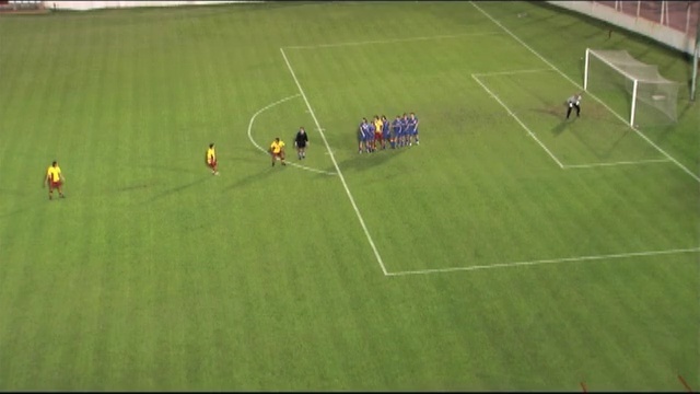 Video Reference: player, grass, sport venue, football, sports, net, ball, artificial turf, biome, area