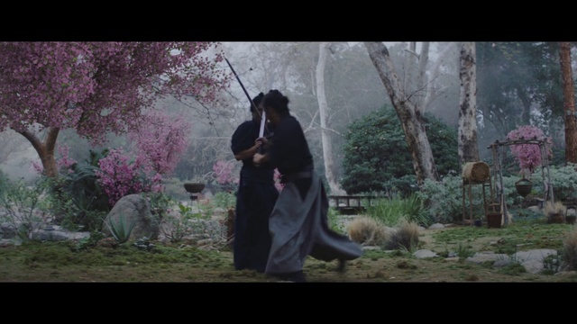 Video Reference: Nature, Natural environment, Tree, Forest, Photography, Scene, Plant, Woodland, Organism, Screenshot