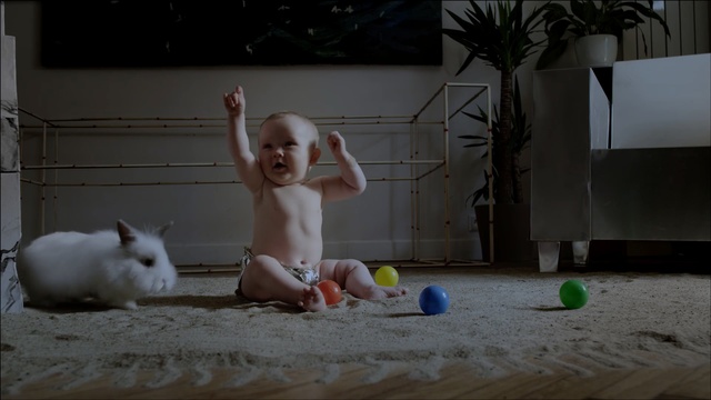 Video Reference: Ball, Child, Canidae, Fawn, Rabbit, Non-Sporting Group, Person