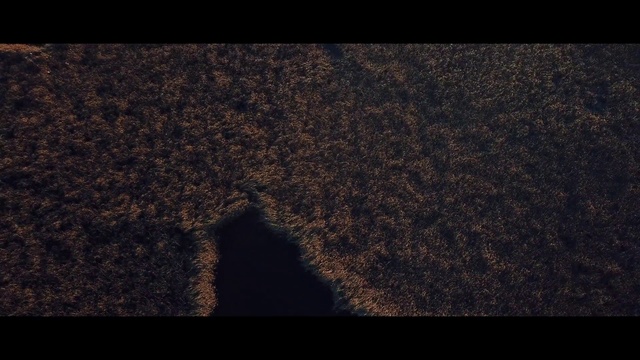 Video Reference: Black, Brown, Sky, Darkness, Font, Shadow, Textile, Screenshot, Photography, Wood