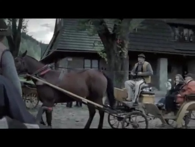 Video Reference: Mammal, Horse, Horse harness, Mode of transport, Carriage, Cart, Pack animal, Vehicle, Working animal, Horse tack, Person