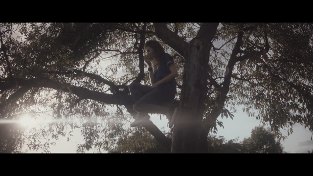 Video Reference: Tree, Branch, Nature, Sky, Photograph, Atmospheric phenomenon, Leaf, Woody plant, Natural environment, Atmosphere, Person