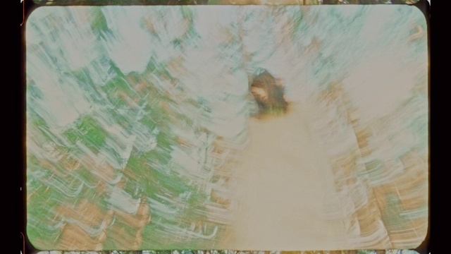 Video Reference: Green, Painting, Tree, Watercolor paint, Art, Visual arts, Person, Indoor, Window, Table, Sitting, Photo, Old, Man, Curtain, Vase, Large, Monitor, White, Glass, Bus, Holding, Woman, Computer, Desk, Bird, Television, Young, Board, Room, Standing, Display, Bear, People, Kitchen, Drawing, Text, Child art, Sketch