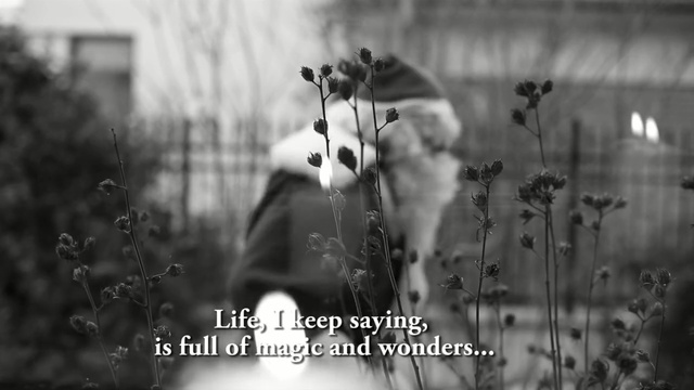 Video Reference: Black-and-white, Photography, Monochrome photography, Font, Adaptation, Photo caption, Monochrome, Tree, Stock photography, Plant, Person