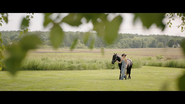 Video Reference: green, nature, photograph, grassland, mammal, vertebrate, pasture, grass, tree, horse like mammal, Person