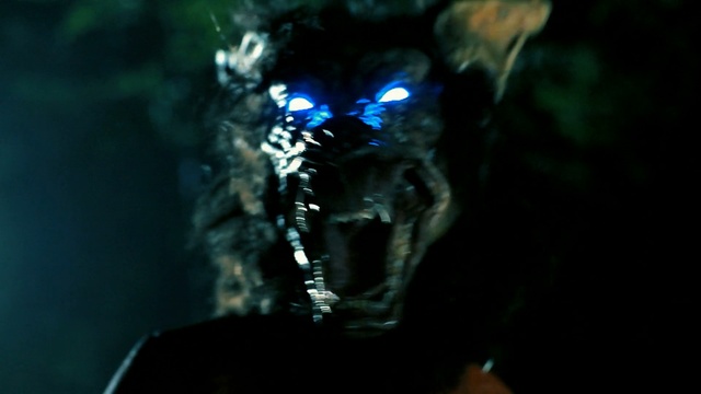 Video Reference: darkness, organism, computer wallpaper, midnight