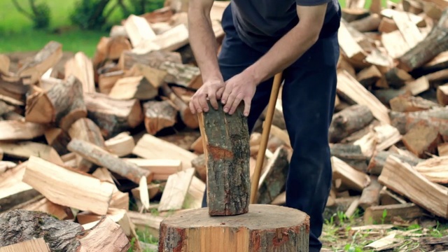 Video Reference: Wood chopping, Lumberjack, Wood, Logging, Traditional sport, Axe, Splitting maul, Lumber, Tree, Tree stump