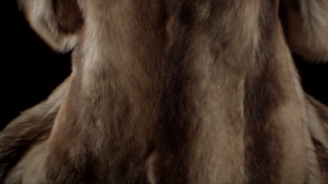 Video Reference: fur, fur clothing, textile, snout, neck, material