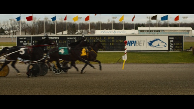 Video Reference: Horse, Horse harness, Animal sports, Horse racing, Horse tack, Bridle, Rein, Racing, Harness racing, Mode of transport