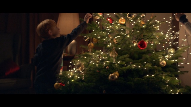 Video Reference: christmas decoration, christmas, christmas tree, night, christmas lights, lighting, darkness, tree, event, decor