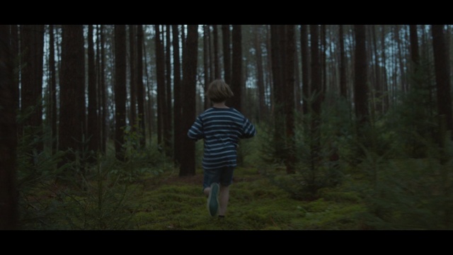 Video Reference: Forest, Woodland, Nature, Natural environment, Tree, Biome, Darkness, Wilderness, Old-growth forest, Temperate coniferous forest, Grass, Outdoor, Man, Standing, Wood, Field, Young, Dark, Open, Wearing, Green, Walking, Holding, White, Playing, Flying, Tall, Curtain, Frisbee, Air, Night, Toddler, Boy, Clothing, Person, Wooded