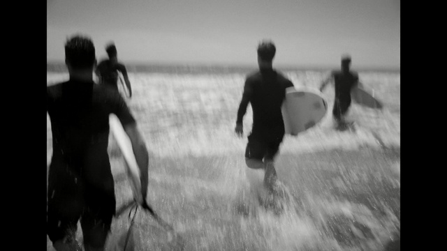 Video Reference: White, Black, Photograph, Monochrome photography, Black-and-white, Fun, Standing, Monochrome, Water, Photography, Person, Outdoor, Grass, Man, Field, Walking, Photo, Holding, Surfing, Carrying, Woman, Riding, Wave, Young, Horse, Air, Board, Catch, Flying, Frisbee, Ocean, Black and white, Clothing, Beach