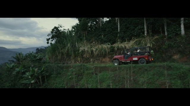 Video Reference: car, nature, off roading, ecosystem, motor vehicle, vehicle, wilderness, vegetation, mode of transport, tree