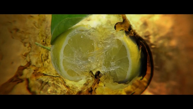 Video Reference: Macro photography, Yellow, Close-up, Organism, Photography, Stock photography, Insect