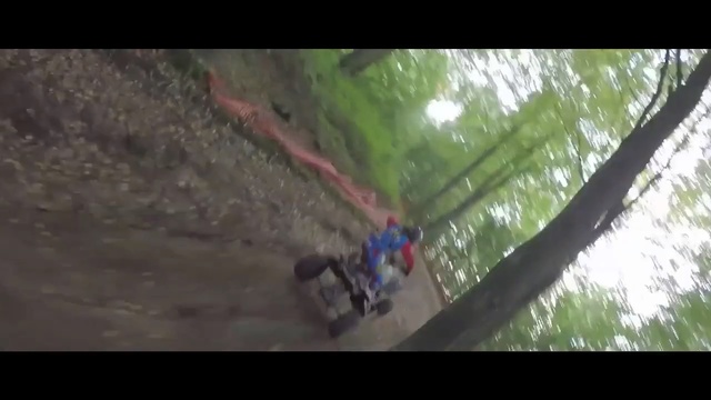 Video Reference: Extreme sport, Downhill mountain biking, Tree, Freeride, Geological phenomenon, Adventure, Vehicle, Recreation, Mountain biking, Bicycle