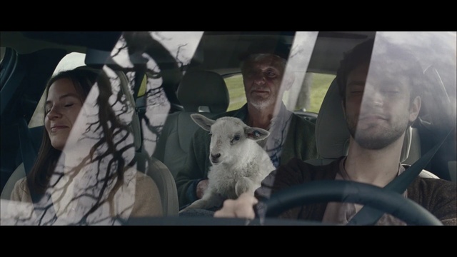 Video Reference: Goats, Goat, Human, Photography, Sheep, Screenshot, Non-Sporting Group, Canidae, Bull terrier, Cow-goat family, Person