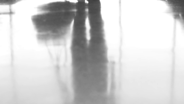 Video Reference: White, Water, Black, Black-and-white, Atmospheric phenomenon, Monochrome photography, Monochrome, Tree, Photography, Reflection