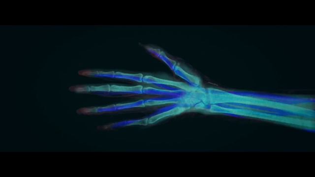 Video Reference: blue, organism, close up, macro photography, marine biology, computer wallpaper, darkness, electric blue, wing, bioluminescence