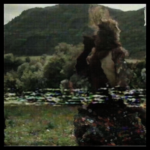 Video Reference: green, nature, ecosystem, fauna, urban area, mammal, flora, grass, photography, wildlife, Person