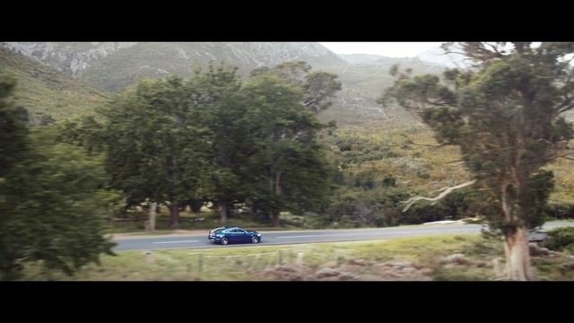 Video Reference: World rally championship, Vehicle, Car, Wilderness, Sky, Mode of transport, Rallying, Road, Highland, Tree