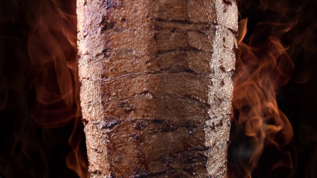 Video Reference: Tree, Trunk, Formation, Wood, Plant, Rock