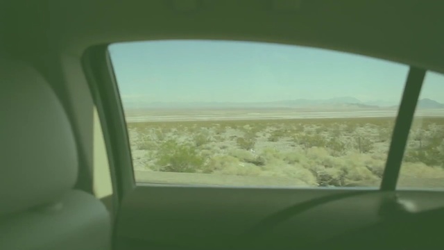 Video Reference: sky, ecosystem, grass, landscape, window, sunlight, automotive exterior
