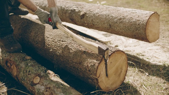 Video Reference: Wood, Tree, Trunk