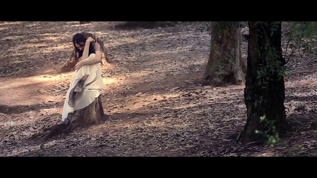 Video Reference: People in nature, Nature, Photograph, Natural environment, Tree, Beauty, Forest, Photography, Woodland, Adaptation