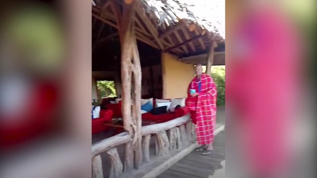 Video Reference: Pink, Room, Tree, House, Vacation, Home, Leisure, Furniture, Building