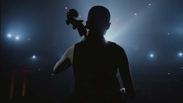 Video Reference: darkness, light, performance, event, lighting, atmosphere, sky, concert, backlighting, night
