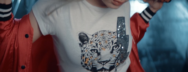 Video Reference: T-shirt, Felidae, Top, Big cats, Snow leopard, Whiskers, Sleeve, Jaguar, Art