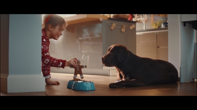 Video Reference: Dog, Canidae, Sitting, Dog breed, Snapshot, Labrador retriever, Fun, Sporting Group, Puppy, Guard dog