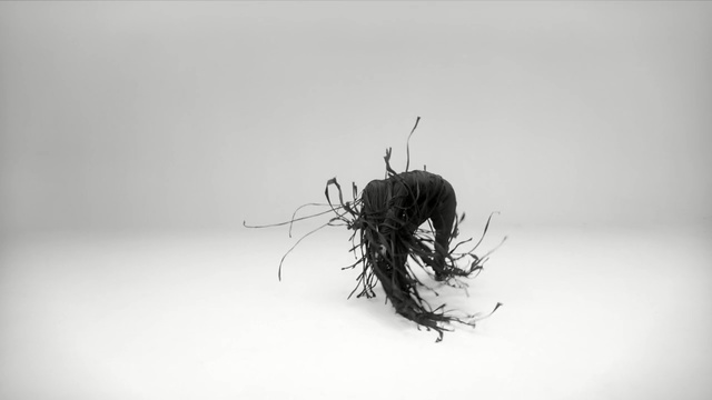 Video Reference: spider, arachnid, barn spider, arthropod, insect, invertebrate