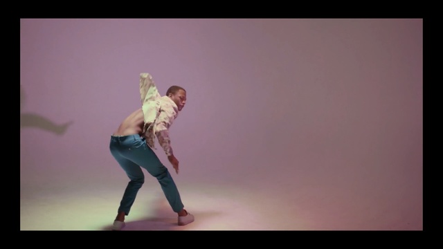 Video Reference: performing arts, dancer, entertainment, performance, dance, modern dance, event, choreography, performance art, concert dance