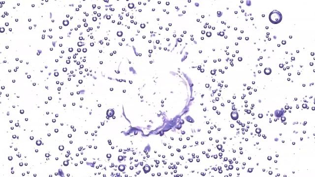 Video Reference: Purple, Violet, Font, Pattern