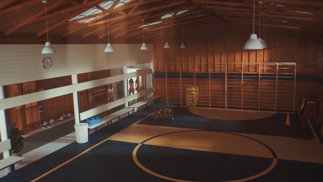 Video Reference: structure, wood, flooring, floor, ceiling, interior design, hardwood, sport venue, lobby, daylighting, Person