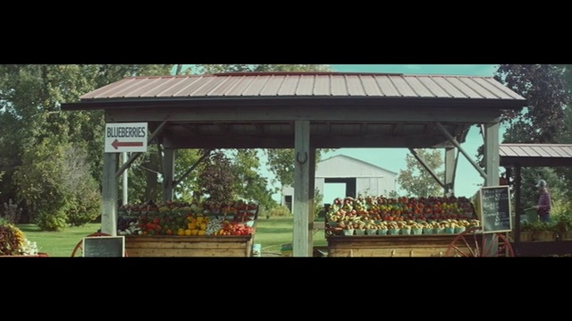 Video Reference: Gazebo, Public space, Pavilion, Architecture, Sky, Roof, Tree, Shade, Leisure, House
