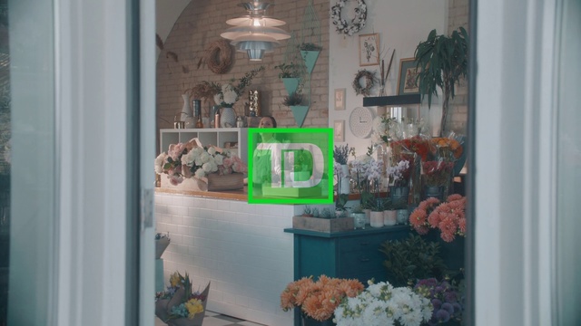 Video Reference: Green, Room, Shelf, Interior design, Window, Display case, Home, Building, Furniture, House