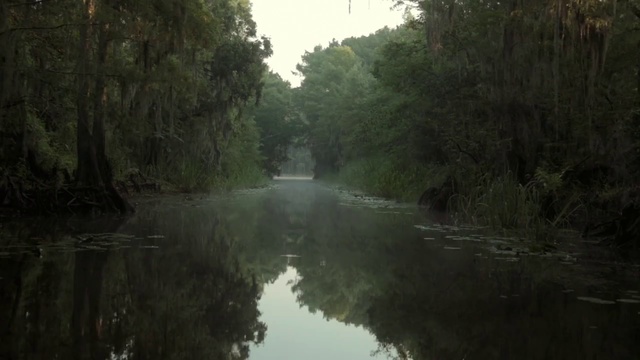 Video Reference: Body of water, Nature, Waterway, River, Natural environment, Bank, Atmospheric phenomenon, Reflection, Natural landscape, Bayou
