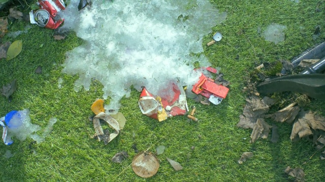 Video Reference: grass, litter, lawn, plant, tree