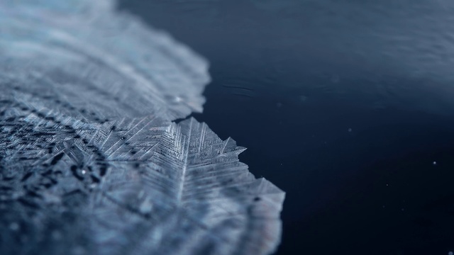 Video Reference: Water, Blue, Sky, Leaf, Freezing, Frost, Ice, Winter, Macro photography, Close-up